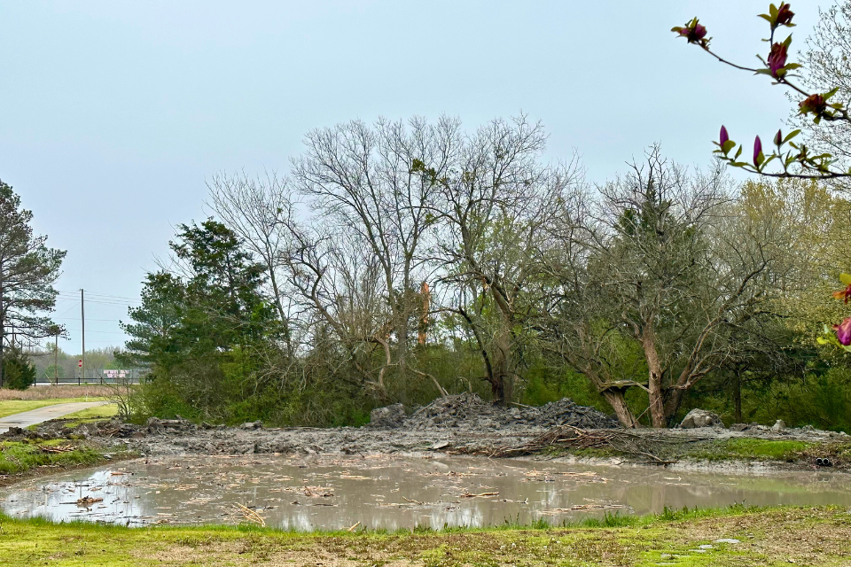 Sometimes Things Get Worse Before Getting Better | Muddy pond debris after tree excavation