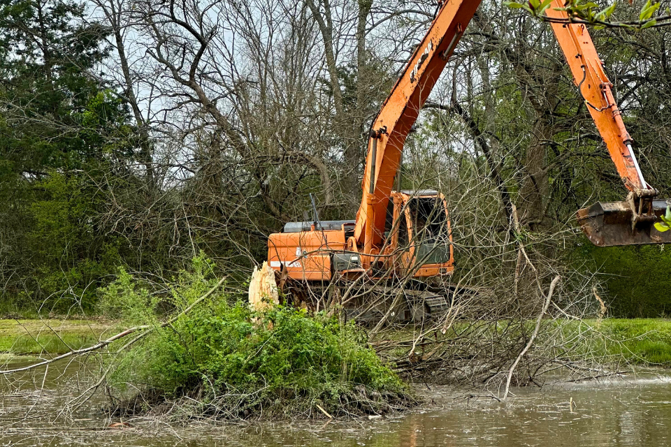 Midway excavation of dead tree in middle of pond