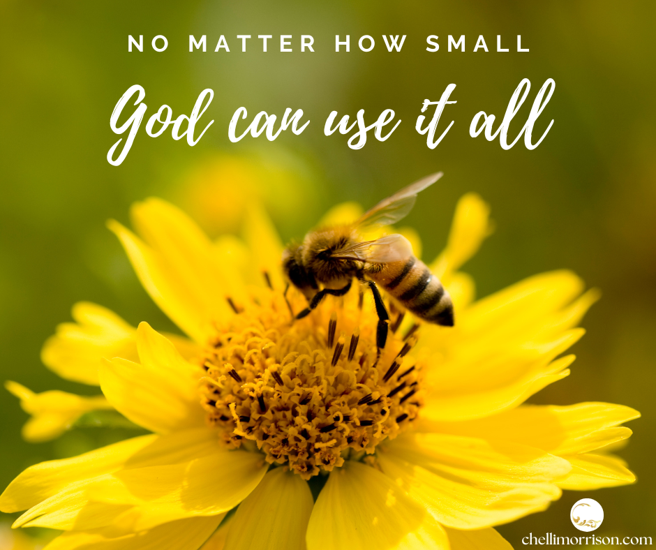 No matter how small God can use it all